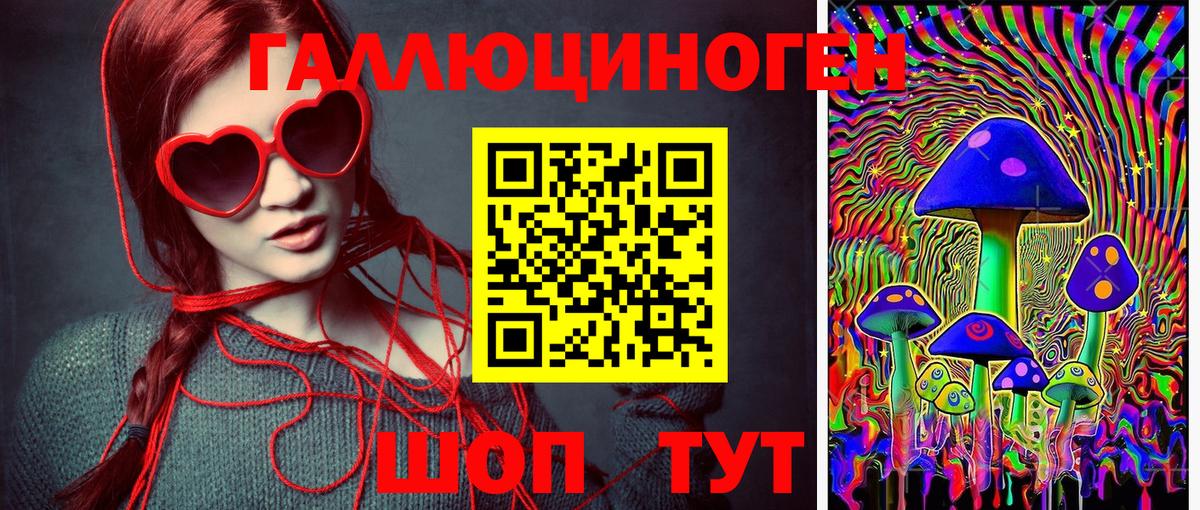 Псилоцибиновые грибы Cubensis  Вход с VPN  Клинцы 
