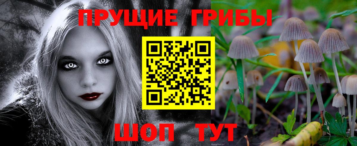 Галлюциногенные грибы Psilocybe Клинцы